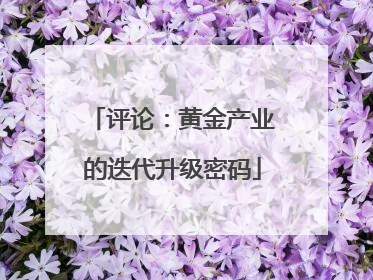评论：黄金产业的迭代升级密码