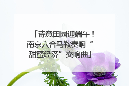 诗意田园迎端午！南京六合马鞍奏响“甜蜜经济”交响曲