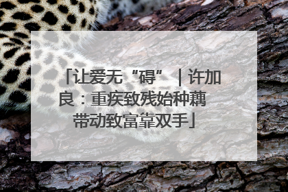 让爱无“碍”｜许加良：重疾致残始种藕 带动致富靠双手