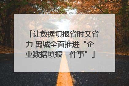 让数据填报省时又省力 禹城全面推进“企业数据填报一件事”