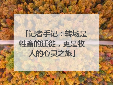 记者手记：转场是牲畜的迁徙，更是牧人的心灵之旅