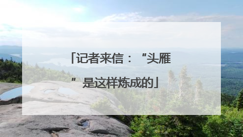 记者来信：“头雁”是这样炼成的