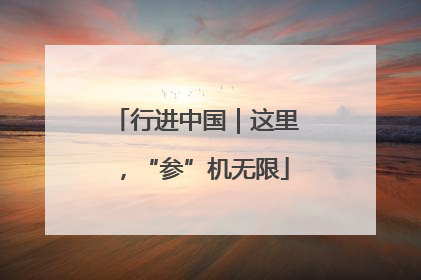 行进中国｜这里，“参”机无限