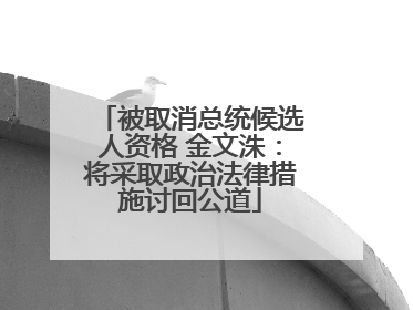 被取消总统候选人资格 金文洙：将采取政治法律措施讨回公道