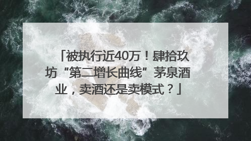 被执行近40万！肆拾玖坊“第二增长曲线”茅泉酒业，卖酒还是卖模式？
