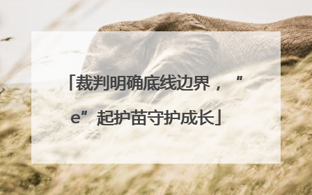 裁判明确底线边界，“e”起护苗守护成长