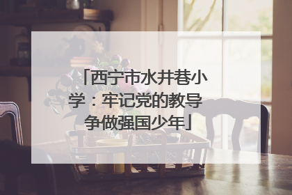西宁市水井巷小学：牢记党的教导 争做强国少年