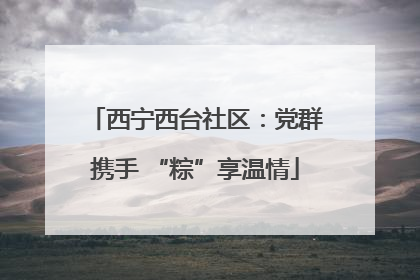 西宁西台社区：党群携手 “粽”享温情
