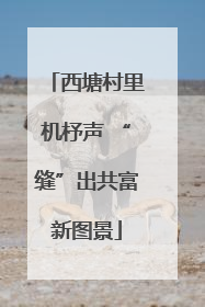 西塘村里机杼声 “缝”出共富新图景