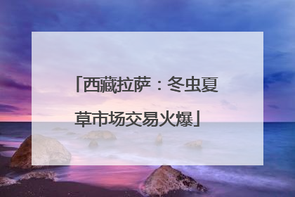 西藏拉萨：冬虫夏草市场交易火爆
