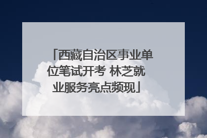 西藏自治区事业单位笔试开考 林芝就业服务亮点频现