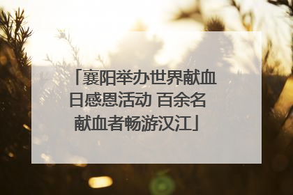 襄阳举办世界献血日感恩活动 百余名献血者畅游汉江