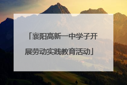襄阳高新一中学子开展劳动实践教育活动
