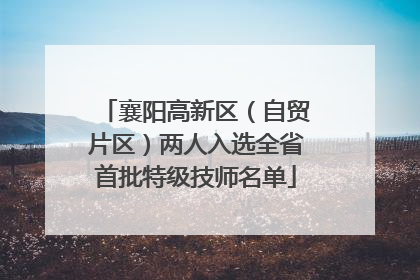 襄阳高新区（自贸片区）两人入选全省首批特级技师名单