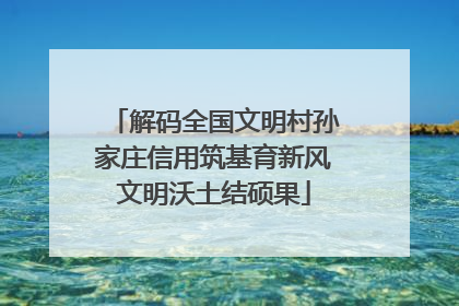 解码全国文明村孙家庄信用筑基育新风文明沃土结硕果