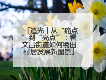 追光丨从“痛点”到“亮点”：看文昌街道如何绣出村居发展新图景