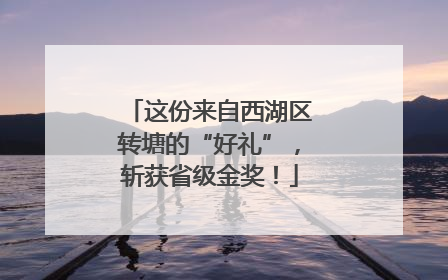 这份来自西湖区转塘的“好礼”，斩获省级金奖！