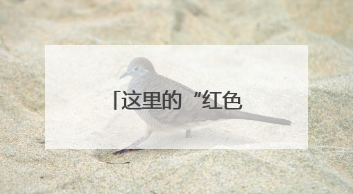 这里的“红色警队”交出一份亮眼答卷！