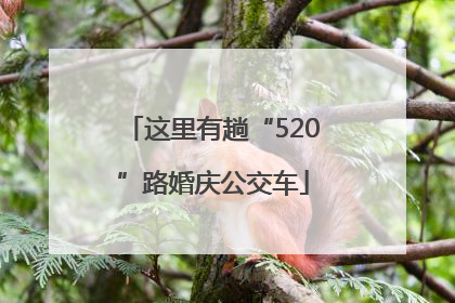 这里有趟“520”路婚庆公交车