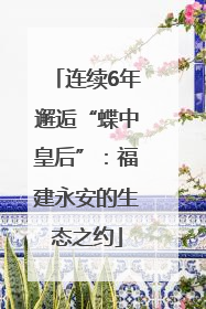 连续6年邂逅“蝶中皇后”：福建永安的生态之约