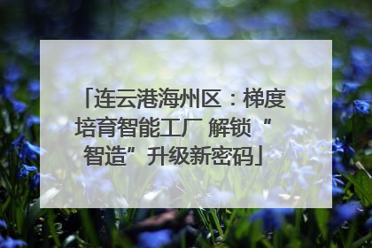 连云港海州区：梯度培育智能工厂 解锁“智造”升级新密码