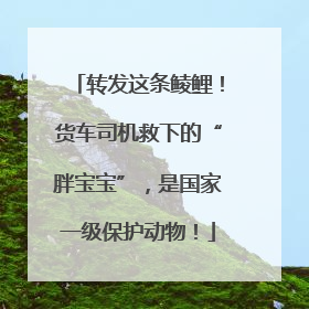 转发这条鲮鲤！货车司机救下的“胖宝宝”，是国家一级保护动物！