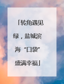 转角遇见绿，盐城滨海“口袋”盛满幸福