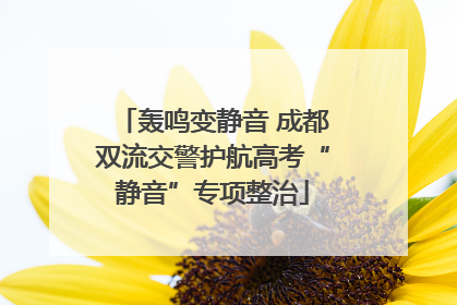 轰鸣变静音 成都双流交警护航高考“静音”专项整治