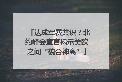 达成军费共识？北约峰会宣言揭示美欧之间“貌合神离”
