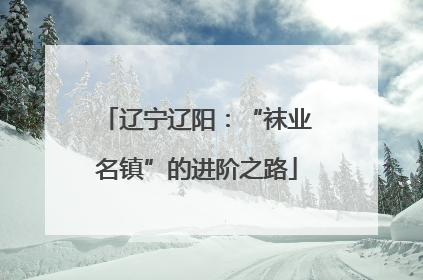 辽宁辽阳：“袜业名镇”的进阶之路