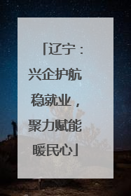 辽宁：兴企护航稳就业，聚力赋能暖民心