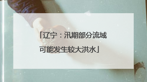 辽宁：汛期部分流域可能发生较大洪水