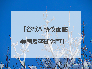 谷歌AI协议面临美国反垄断调查
