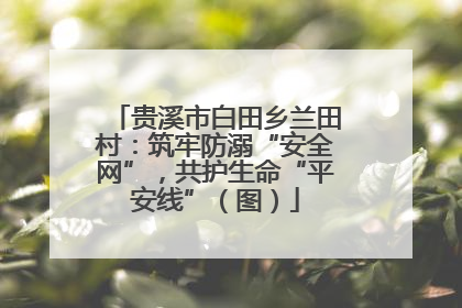 贵溪市白田乡兰田村：筑牢防溺“安全网”，共护生命“平安线”（图）