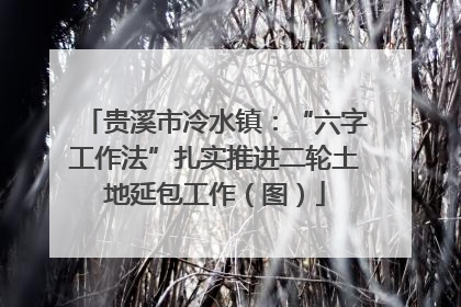 贵溪市冷水镇：“六字工作法”扎实推进二轮土地延包工作（图）