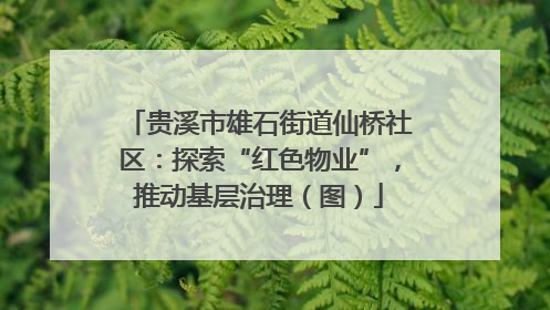 贵溪市雄石街道仙桥社区：探索“红色物业”，推动基层治理（图）