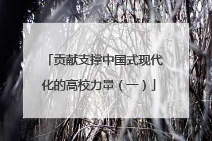 贡献支撑中国式现代化的高校力量（一）