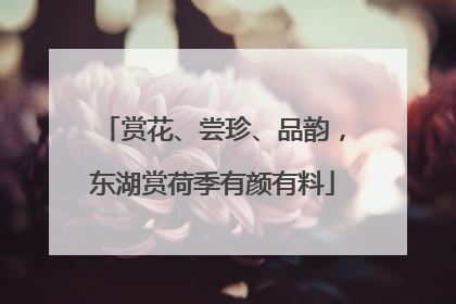 赏花、尝珍、品韵，东湖赏荷季有颜有料