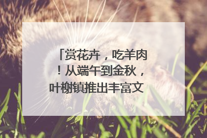赏花卉，吃羊肉！从端午到金秋，叶榭镇推出丰富文旅活动邀您爽玩