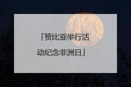 赞比亚举行活动纪念非洲日