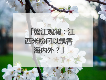 赣江观澜：江西米粉何以飘香海内外？
