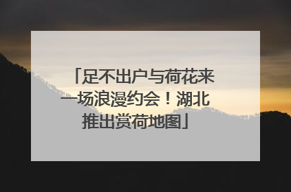 足不出户与荷花来一场浪漫约会！湖北推出赏荷地图