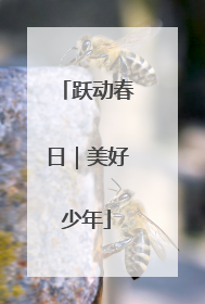 跃动春日｜美好少年