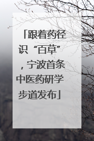 跟着药径识“百草”，宁波首条中医药研学步道发布