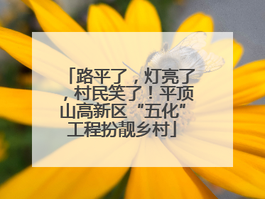 路平了，灯亮了，村民笑了！平顶山高新区“五化”工程扮靓乡村
