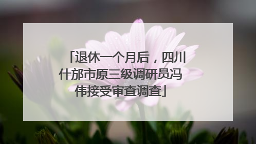 退休一个月后，四川什邡市原三级调研员冯伟接受审查调查
