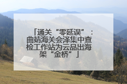 通关“零延误”：曲靖海关会泽集中查检工作站为云品出海架“金桥”