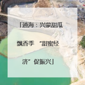 通海：兴蒙甜瓜飘香季 “甜蜜经济”促振兴