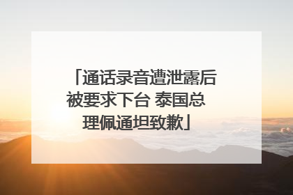 通话录音遭泄露后被要求下台 泰国总理佩通坦致歉