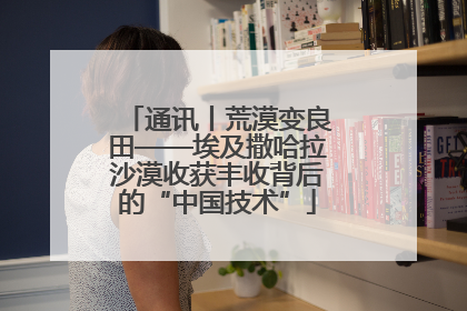 通讯丨荒漠变良田——埃及撒哈拉沙漠收获丰收背后的“中国技术”